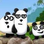 دببة الباندا الثلاثة